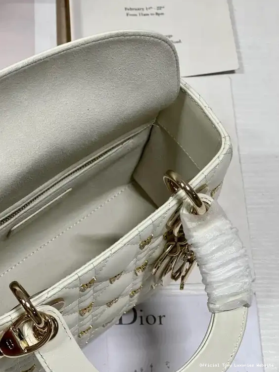 Tony Luxuries DI0R-20CM LADY 0420